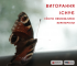 Великий розпродаж у Чорну п’ятницю (2)