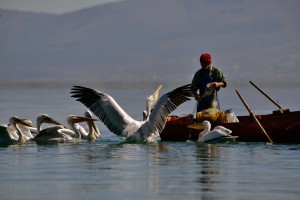 Film LAKE OF APPLES - Credit EU Youth Cinema Green Deal