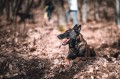pexels-jozef-feher-356581-10568774