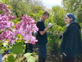 Толока_студенти_03.05.25