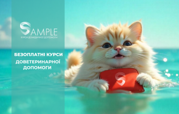 SAMPLE_курси