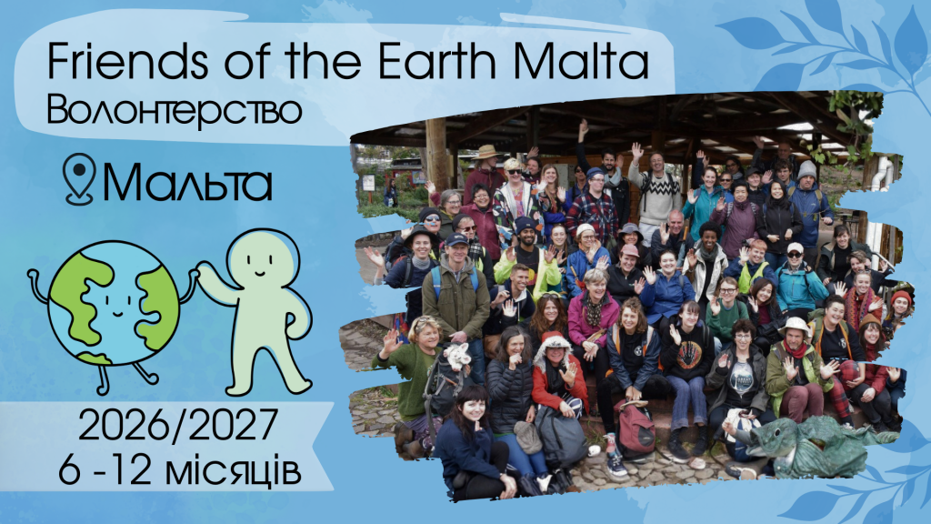 сайт прямокутник(2)