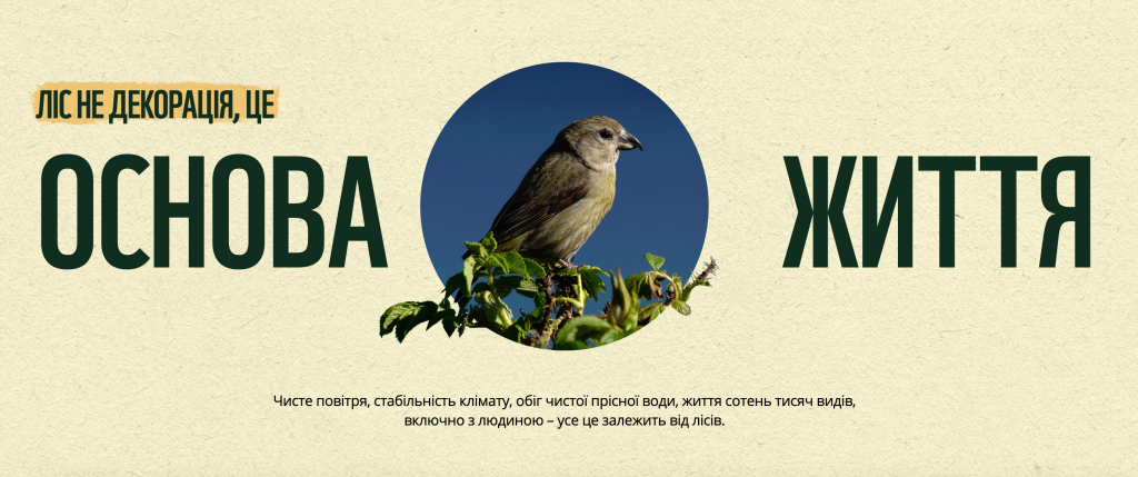 Знімок екрана 2026-04-14 о 11.45.38