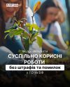 Організація суспільно корисних робіт у ГО та БФ: кадри, звітність, відповідальність