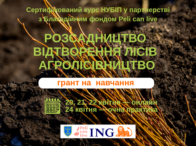 фейсбук (4)