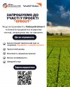 Trusted Lawn Care Experts