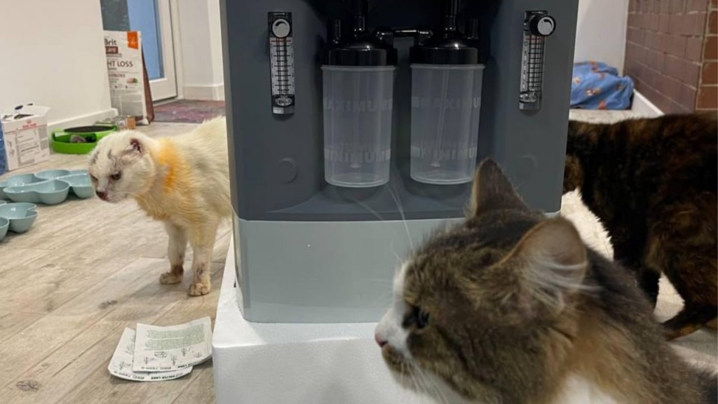 photo_2026-06-08_12-04-41