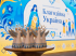 Благодійна Україна заставка