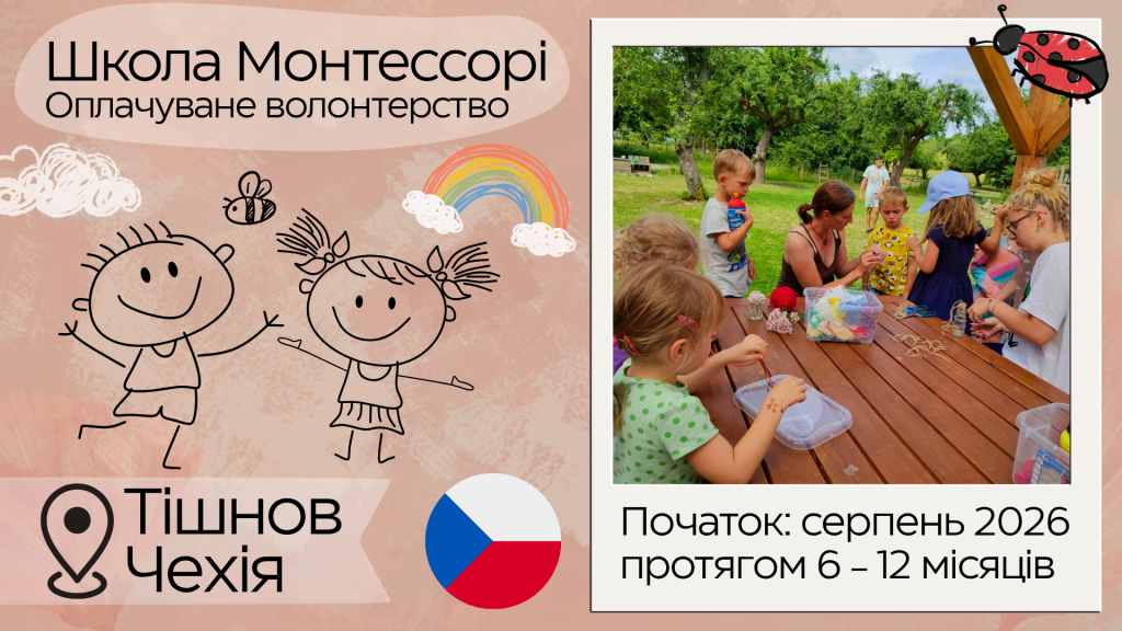 сайт прямокутник(1)